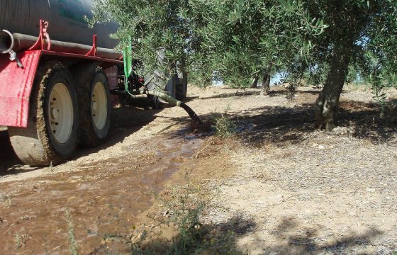 Kontrolle von flüssigen Rückständen aus Ölmühlen durch die Verwendung auf Olivenfarmen